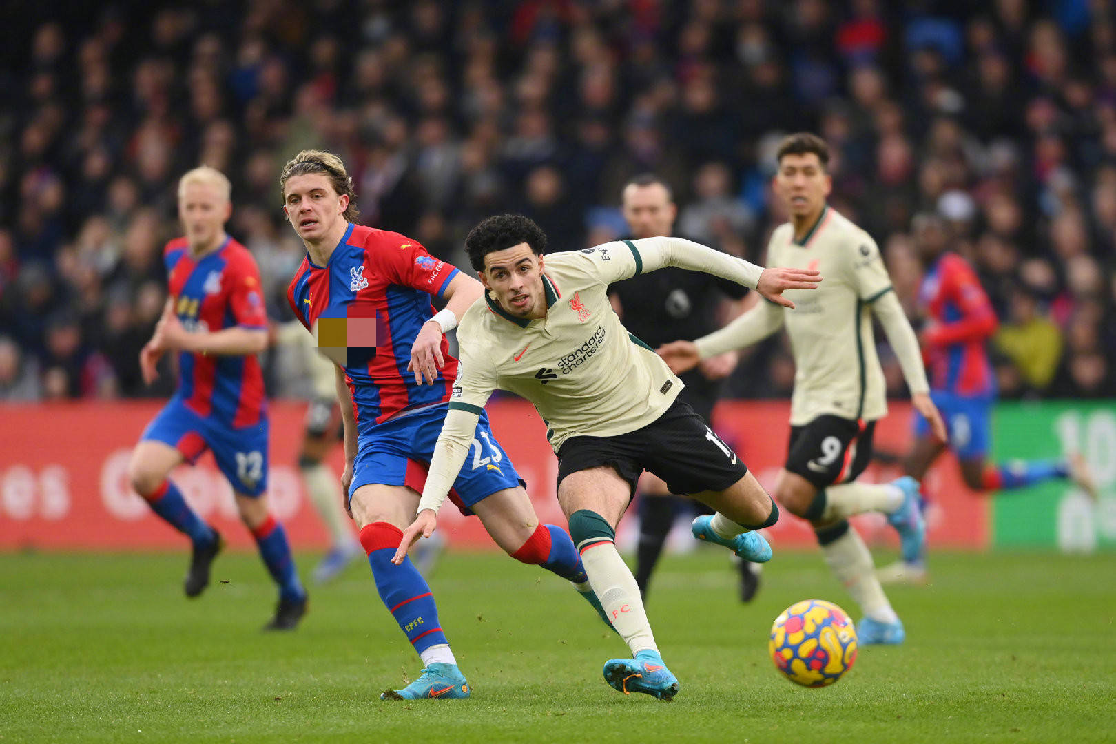 的赛季中 的赛季中